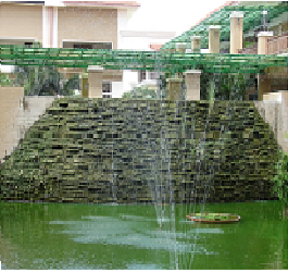 ponds